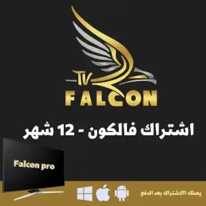 الصفحة الرئيسية 11 falcon tv