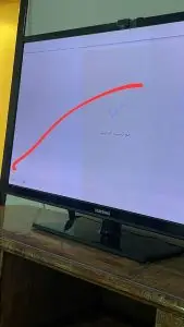 ٦